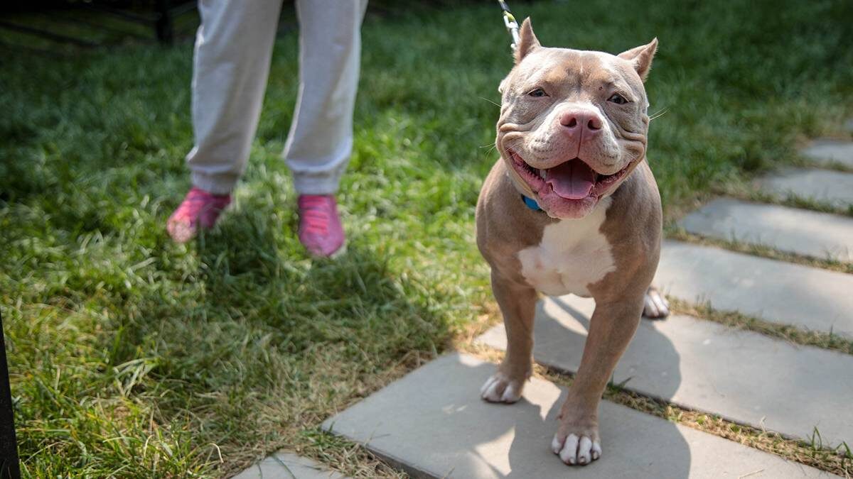    Фото: Артур Новосильцев / АГН Москва