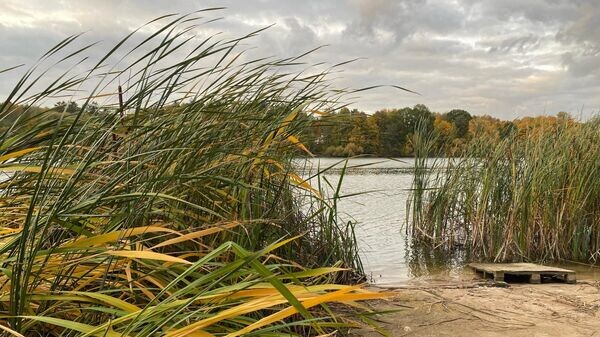    © Sputnik / Роман Шантар