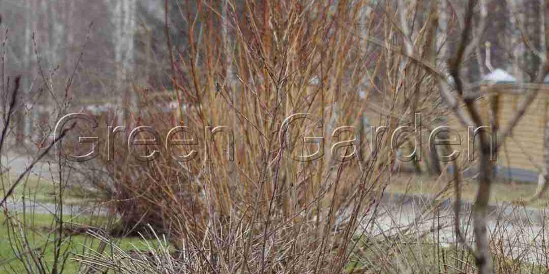 Лунный календарь на Октябрь 2025 года.