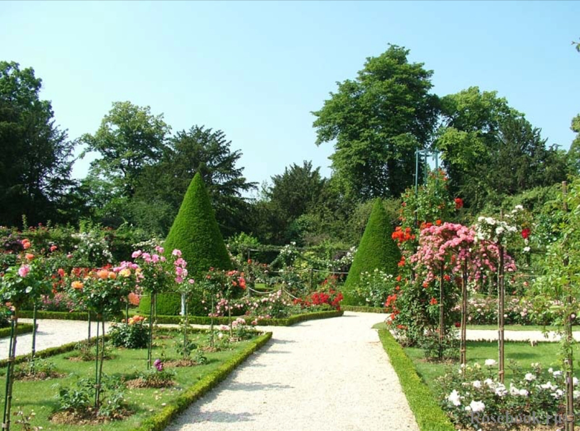 фото пердоставлено Лялей