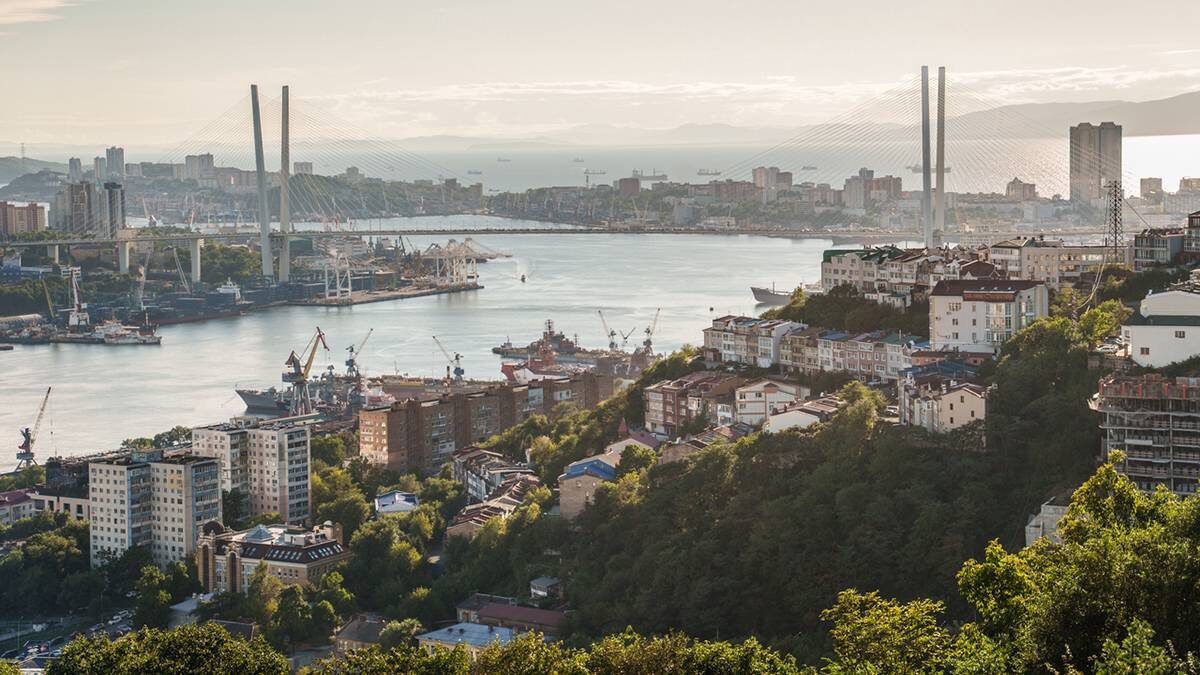    Фото: roscongress / Александр Жолобов