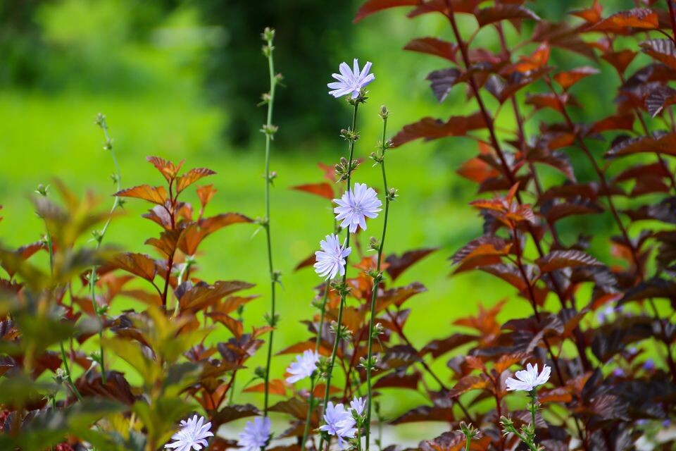    Сквер "Взлетный". Источник: Виталий Барабаш