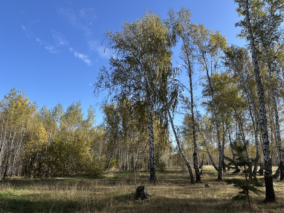 Золотая осень.