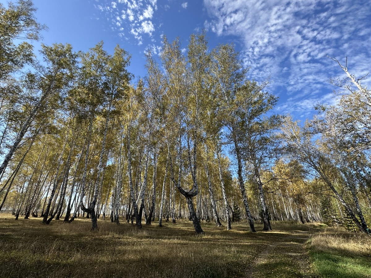 Бабье лето.