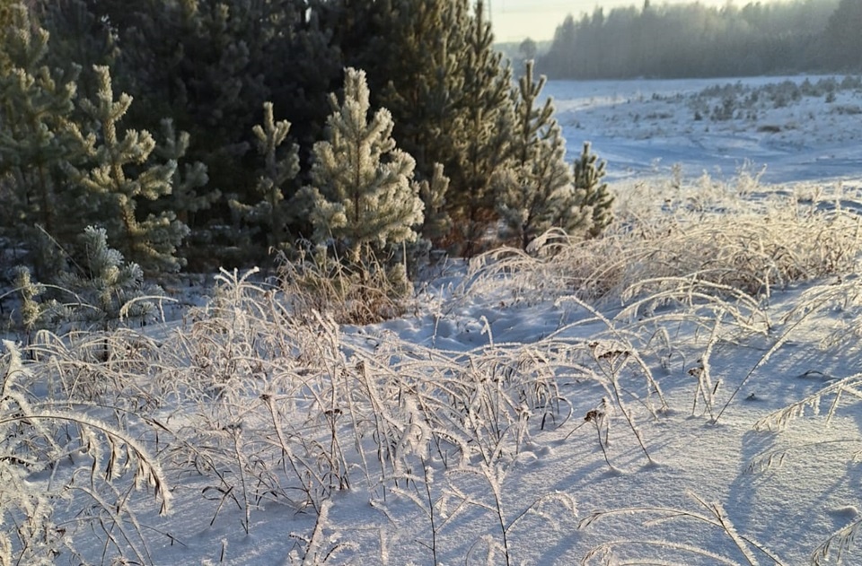     Добычу на Порожинском месторождении придется вести в тяжелых условиях: зимой температуры составляют здесь до -55-60 градусов