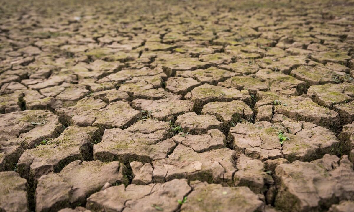    Фото freepik.com