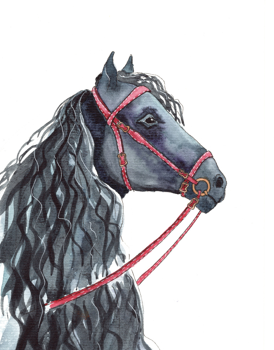 Упражнение №6