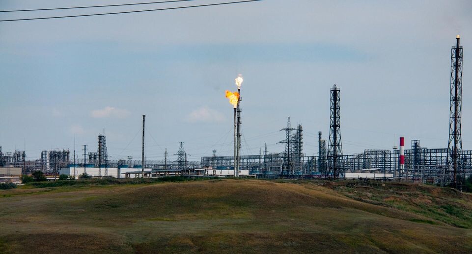    Svetlana Vozmilova/Global Look Press / www.globallookpress.com