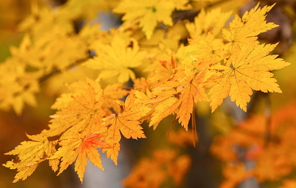 Юрий Смитюк/ТАСС