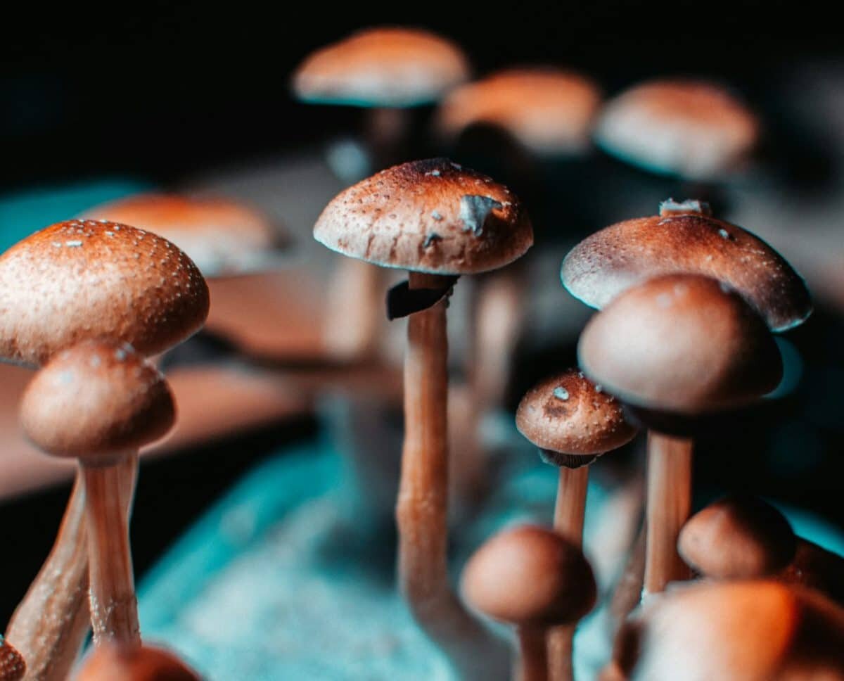    © Marco Allegretti, unsplash.com