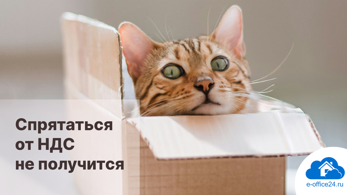 Иллюстрация от Oli Zubenko на unsplash.com