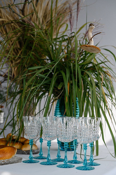 Фото Александра Толмачёва и Елены Мышаниной                                                                     Источник:https://www.goose-crystal.ru/news/tsvet-nastroeniyayu/