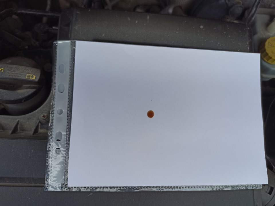 Капнул на листок каплю масла для капельного теста