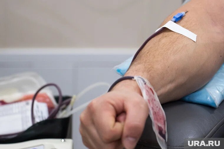 По ТК РФ, в день сдачи крови на донорство работнику предоставляется выходной. Фото: Анна Майорова © URA.RU