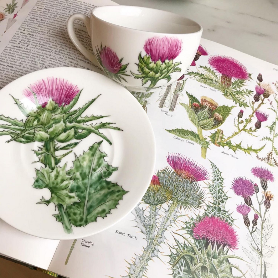 Чайная пара "Расторопша", чашка 250 мл, блюдце - 15 см..В качестве "натуры" - ботанический атлас