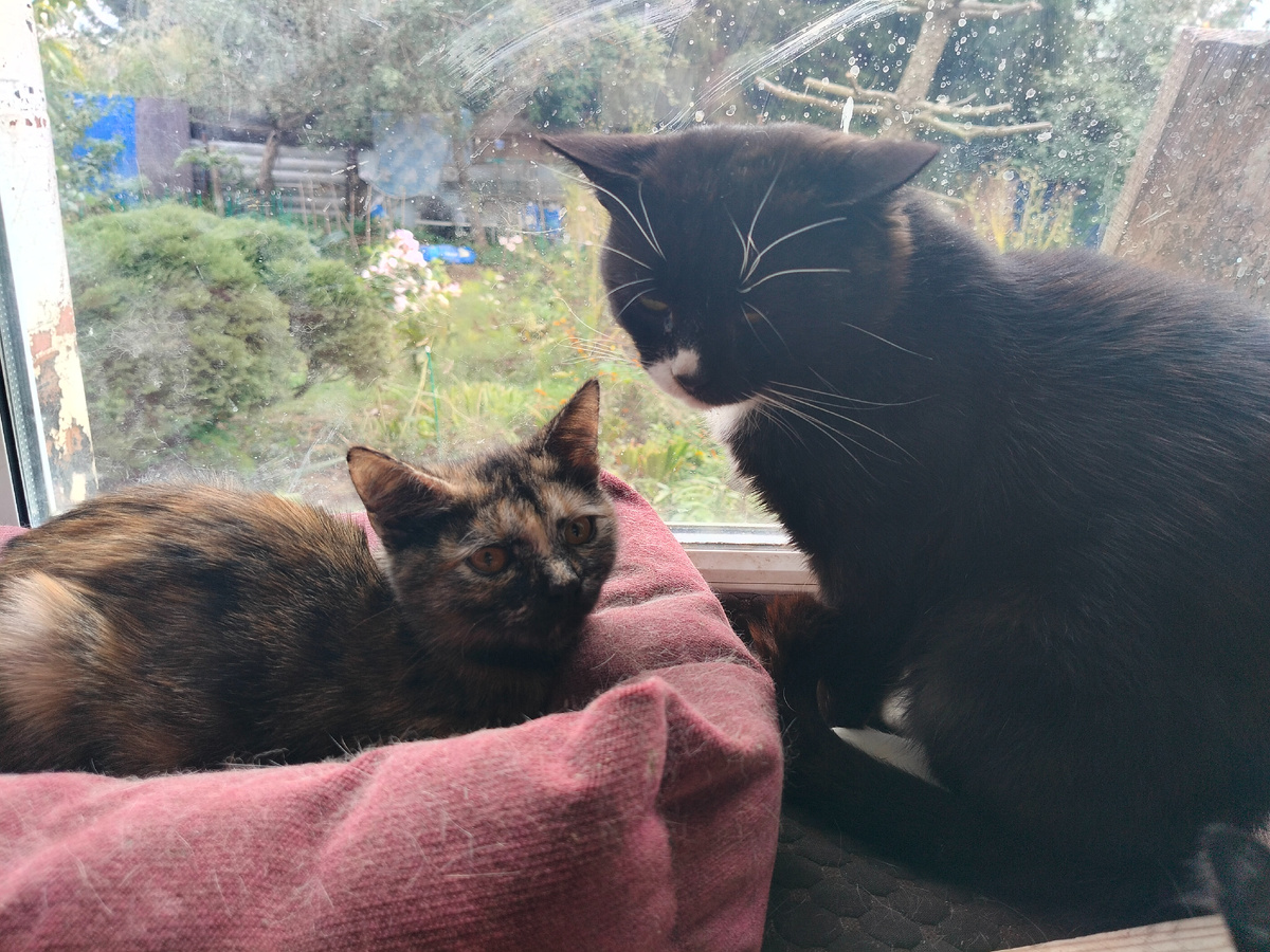 Фото автора