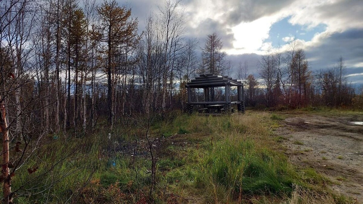    Фото: t.me/dprryanao