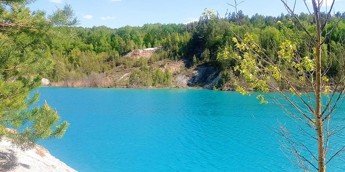 Фото: НПЦ НАН Беларуси по биоресурсам  📷
