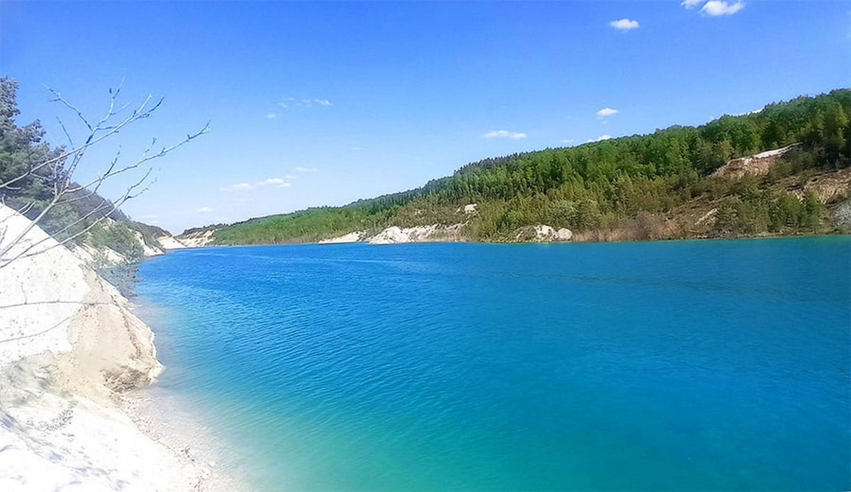 Фото: НПЦ НАН Беларуси по биоресурсам  📷
