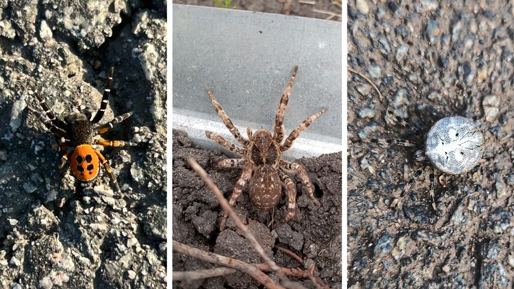 Фото: ИА «Первое областное»