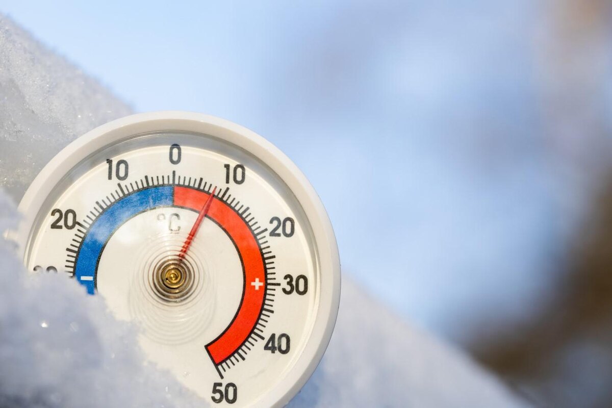 Dmitry Naumov / Shutterstock / FOTODOM📷В квартиры тепло подают с городских ТЭЦ либо с общедомовых котелен