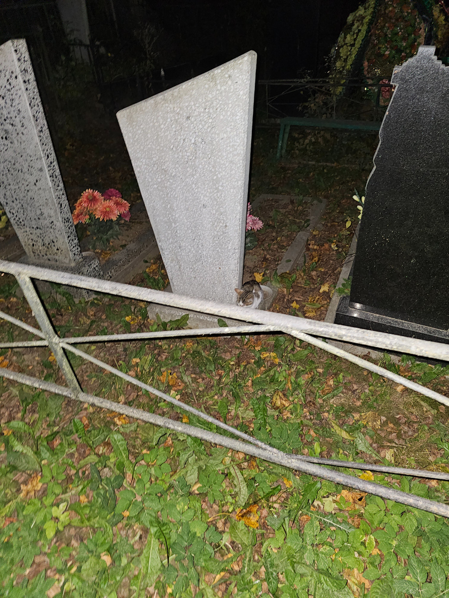 Фото автора. Вот так малыши замерзают.