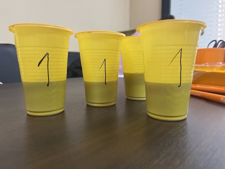 Фото: Анастасия Михайлова