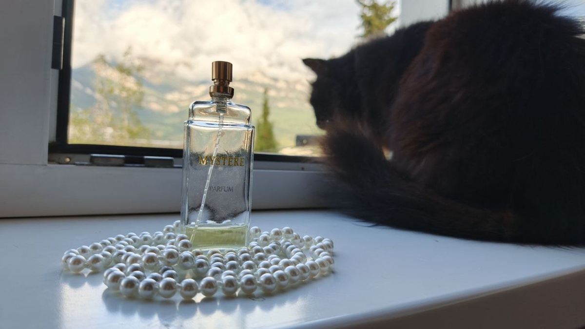 Мася создаёт красивый фон)