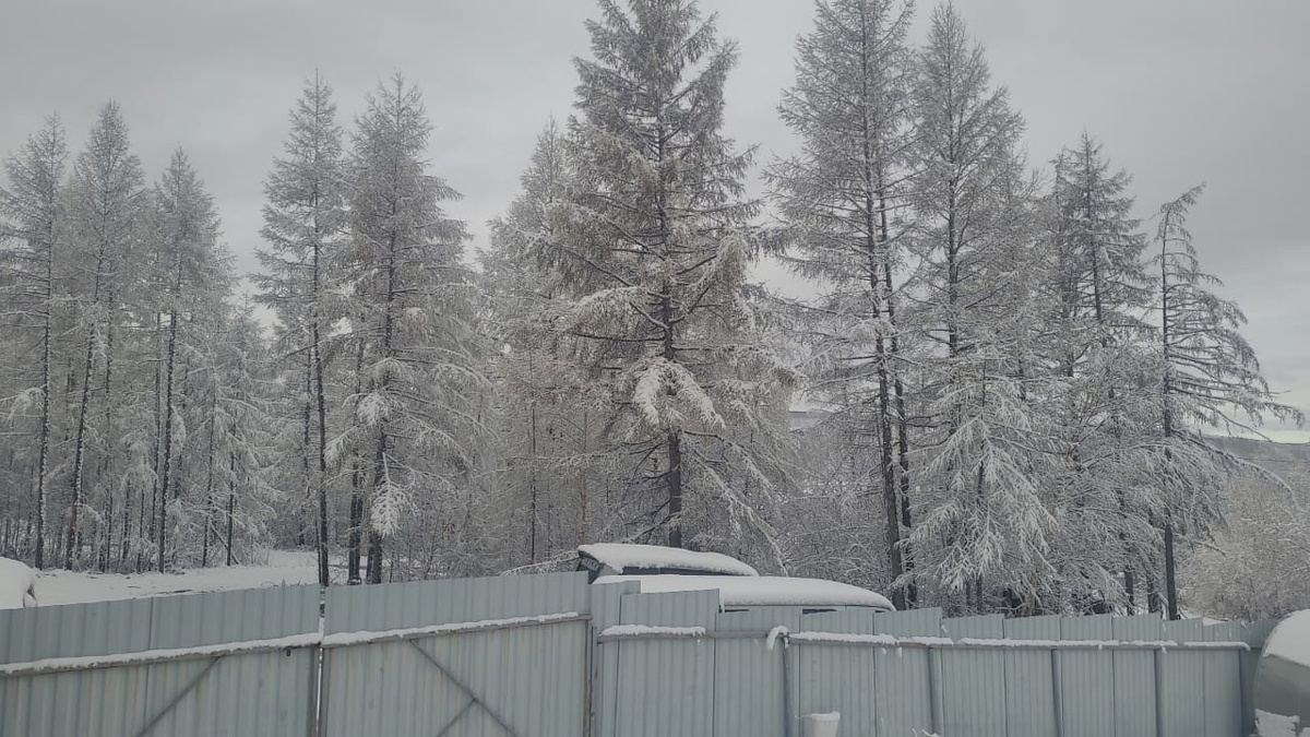    Снег придет очень рано: синоптики назвали точную дату прихода зимы – прогноз ошеломляет