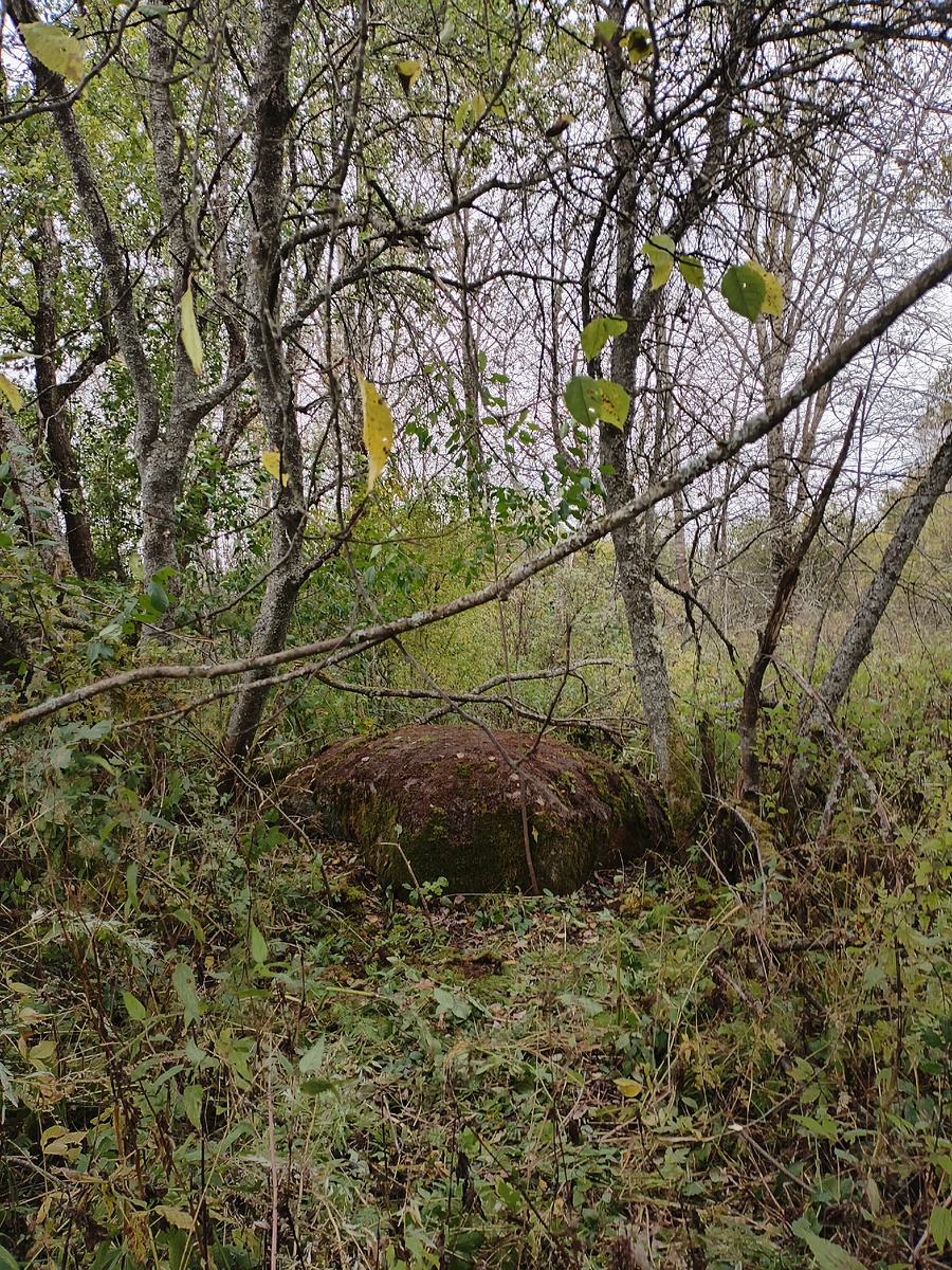 Мы немного убрали вокруг камня. Мы - это я и Аркадий Викторович Борисов, родители и дедушка с бабушкой  которого жили в Аносинках и куда он постоянно приезжал на каникулы и в отпуск. Это он заметил трещину на медведе в 2006 году. 