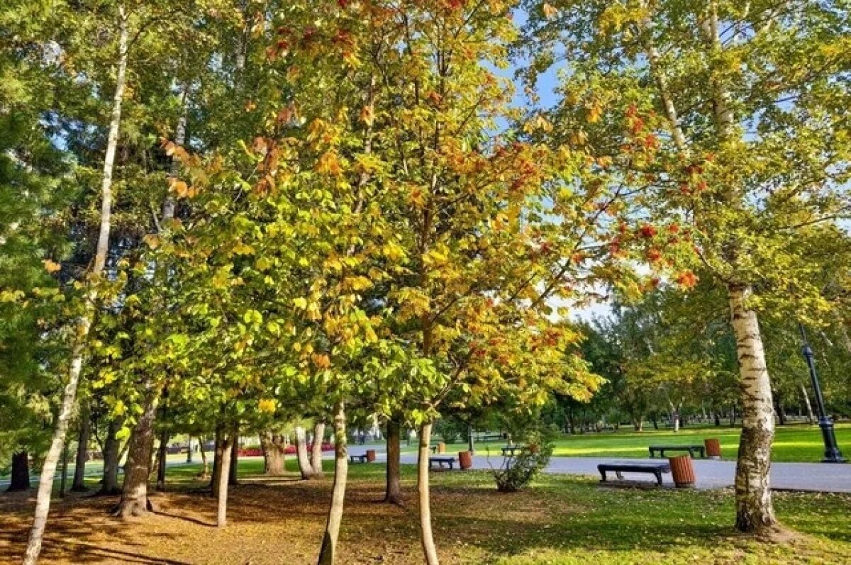    День без осадков ожидает жителей Псковской области 1 октября