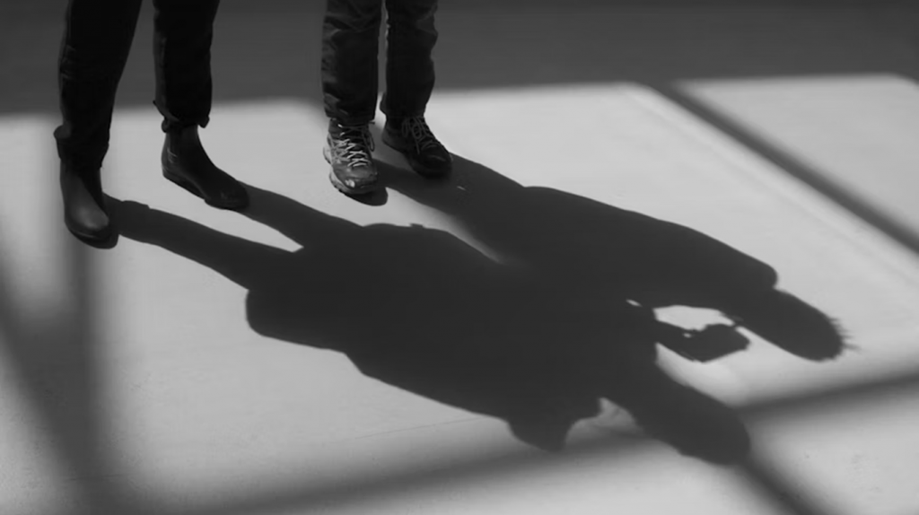     Тень и маски. Почему мы подавляем неудобные стороны личности и что с этим делать Елена Исупова