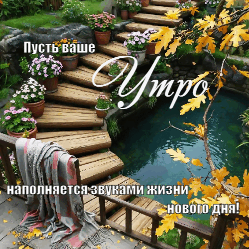 ваше утро наполняется  звуками жизнн нового дня