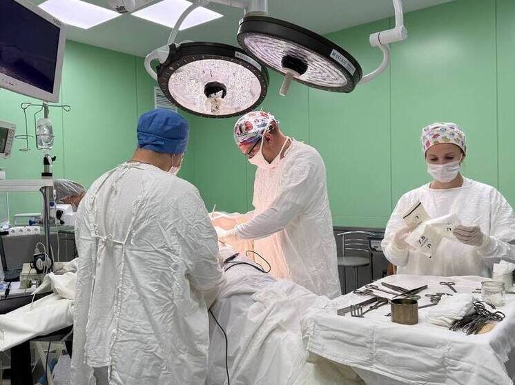     Фото: Анна Чернова/ТГ