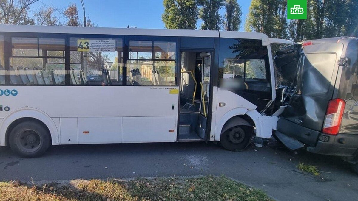    Фото: mvd36 / t.me