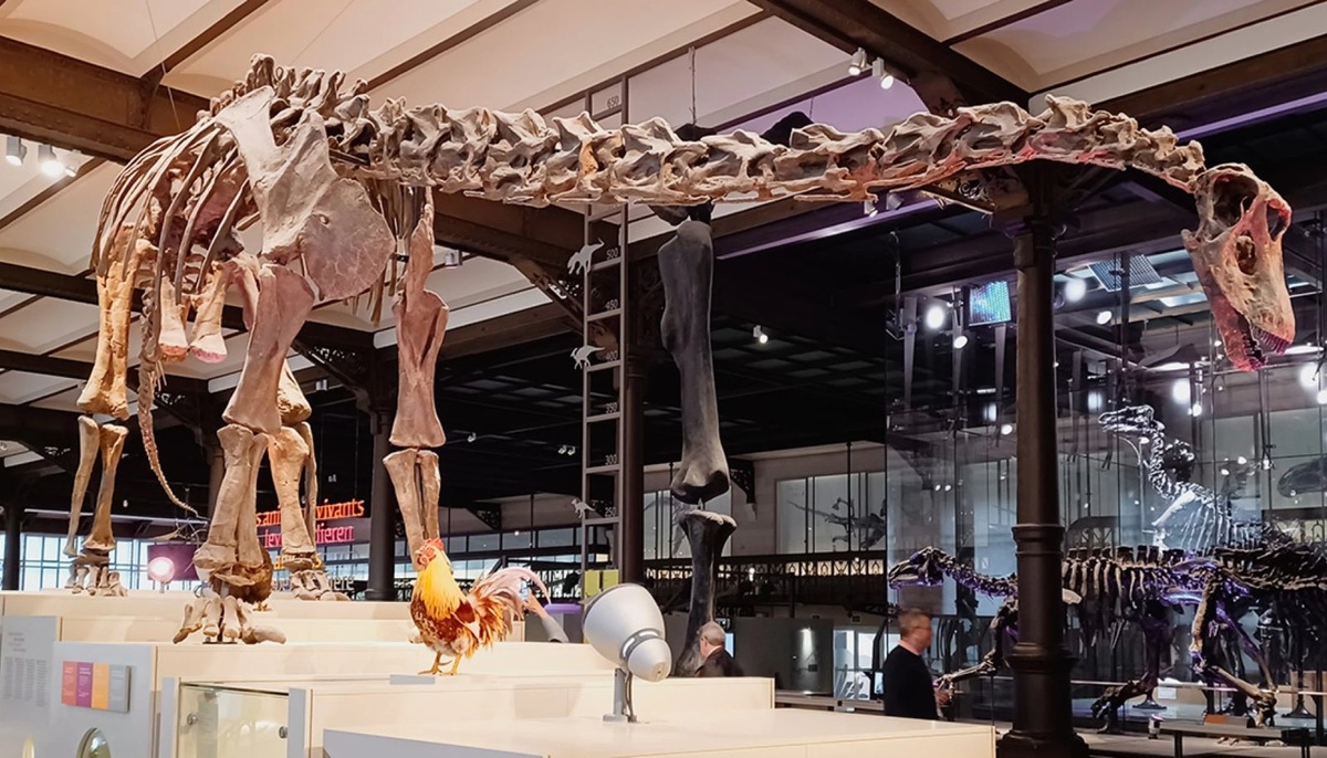    Несмотря на то, что до наших дней дошло немало костей и окаменелостей динозавров, ДНК из них извлечь уже невозможно: эти молекулы не сохранились