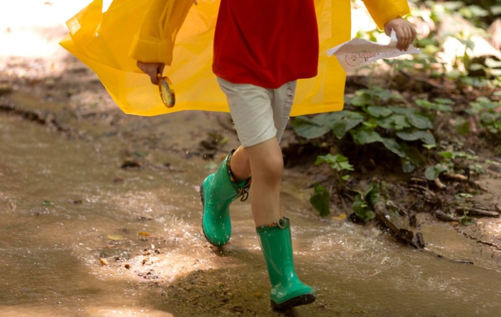 Фото с сайта: freepik.com 