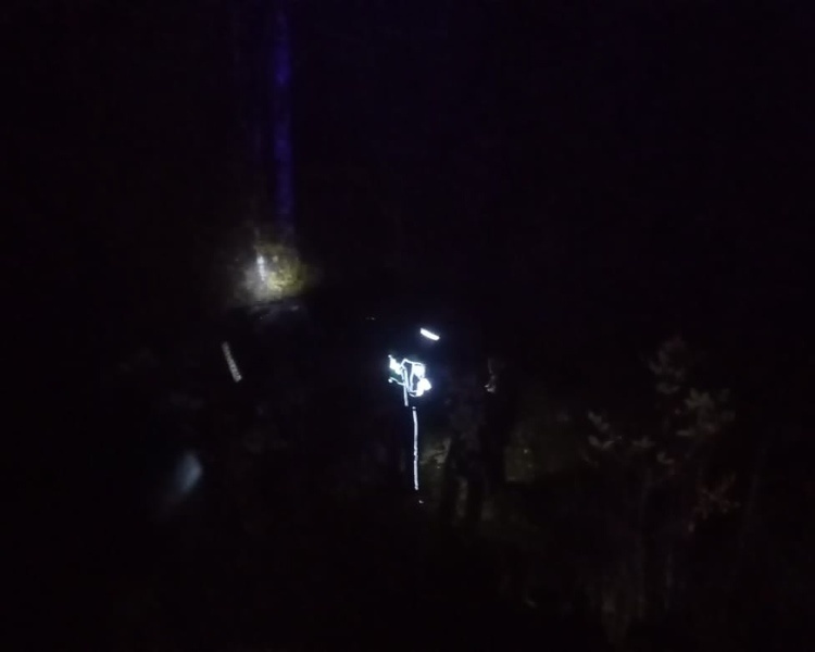     В Курской области пассажир автомобиля пострадал в ДТП