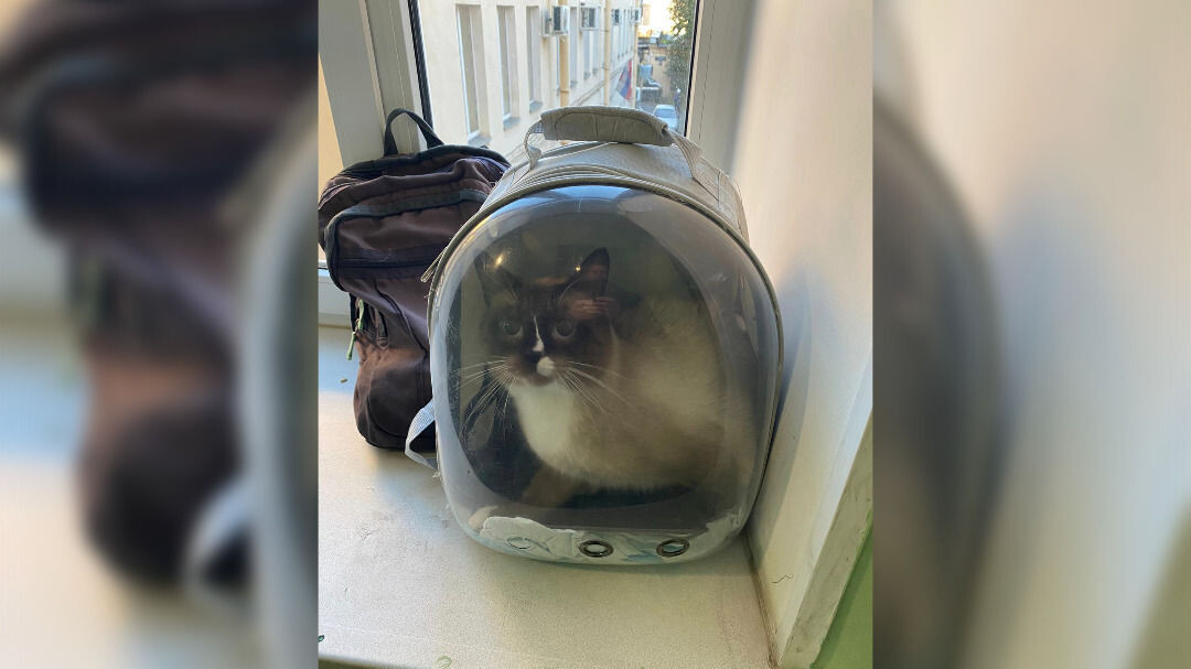 Фото: ГУ ФССП России по Петербургу