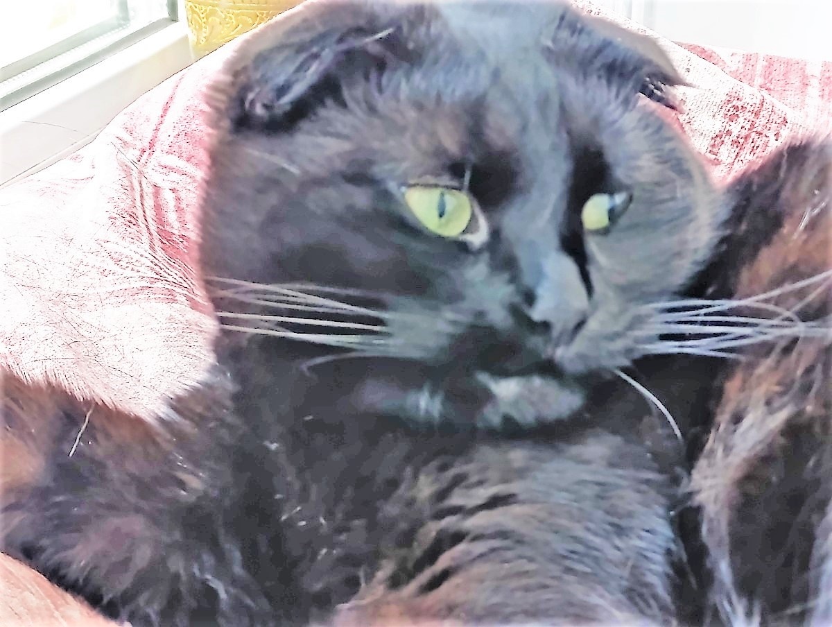 Блвгодарю за фото Марину АБРОЧНОВУ)