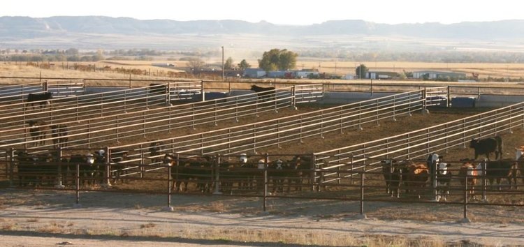    Фото: Galen Erickson