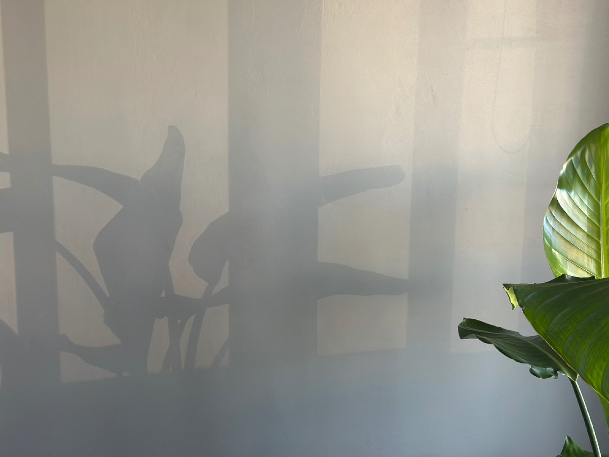 Фото из личной коллекции автора