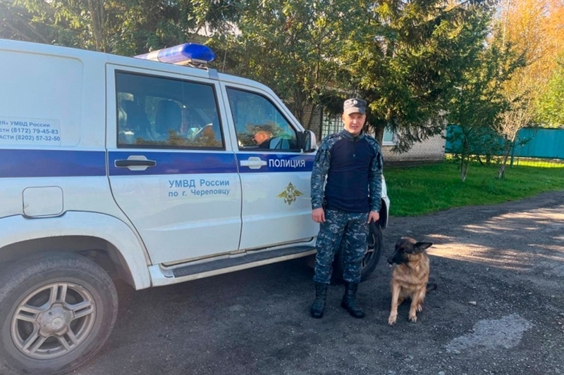    На номер "112" вечером позвонила 32-летняя череповчанка