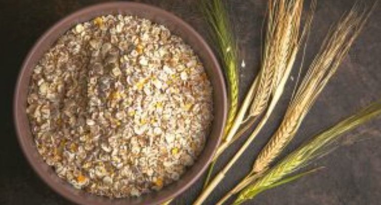    Фото: Россельхознадзор РФ