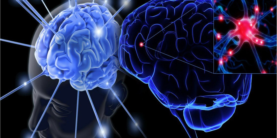 Влияние вида единоборств на показатели пропускной способности мозга спортсменов