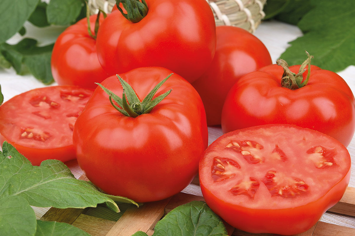 Румяный шар F1