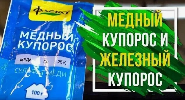 Купорос медный и железный какой применять осенью