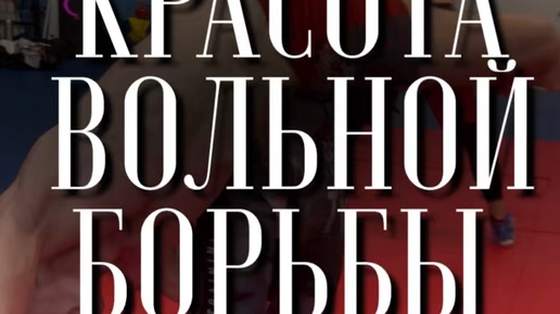 Bodyharm ������: ����.