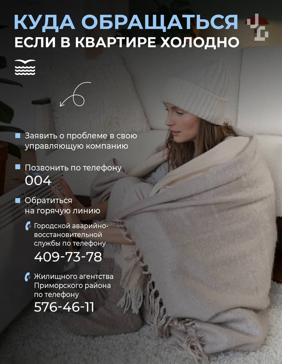 Фото: https://t.me/prim_spb/13838