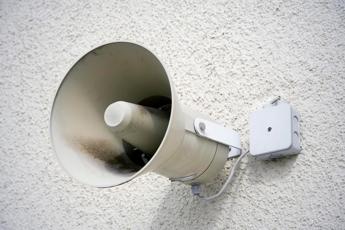 Фото: freepik.com  📷
